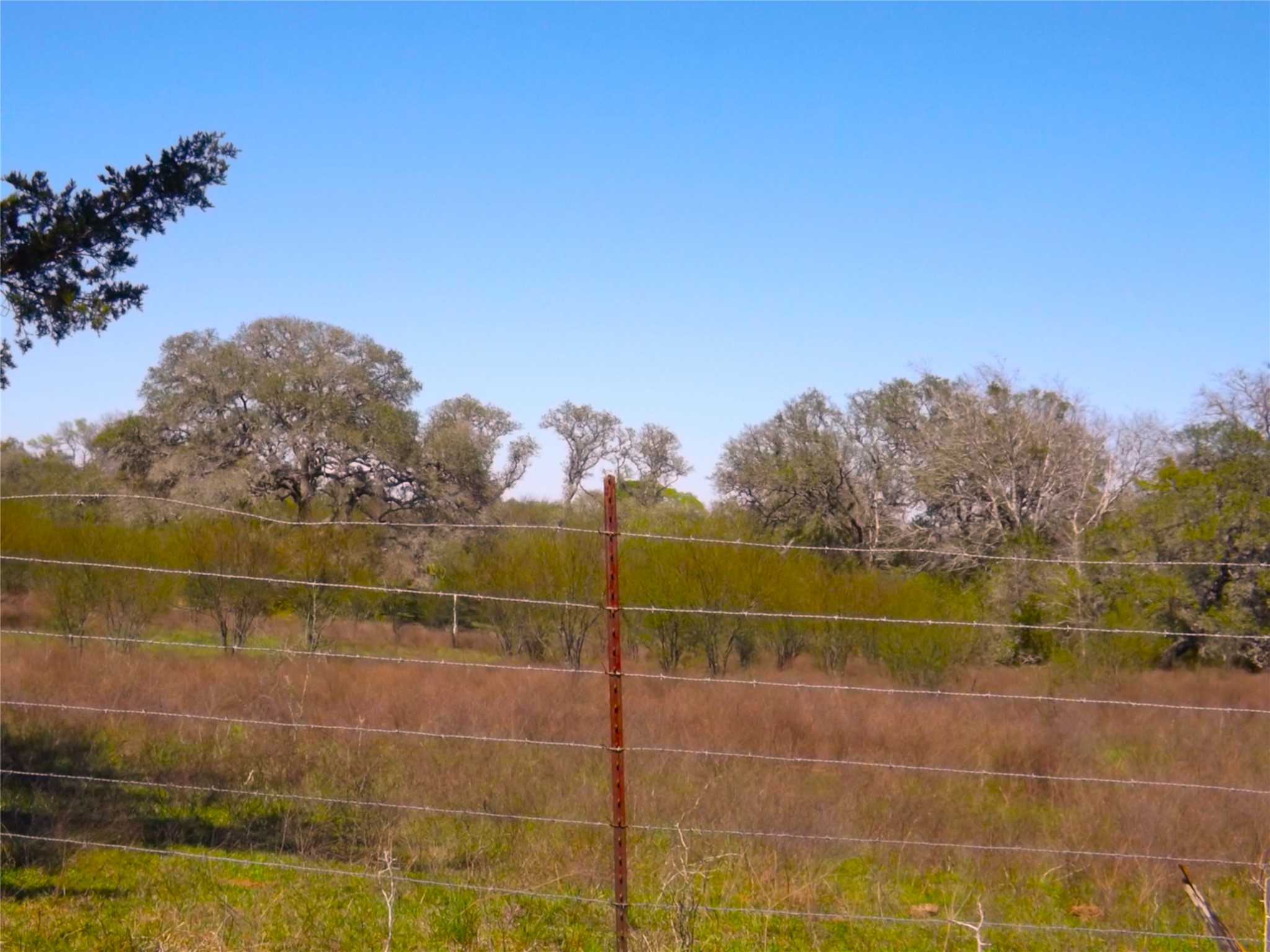 1649 County Road 209 Weimar, TX 78962 - Photo 25 of 27 a view of a tennis court