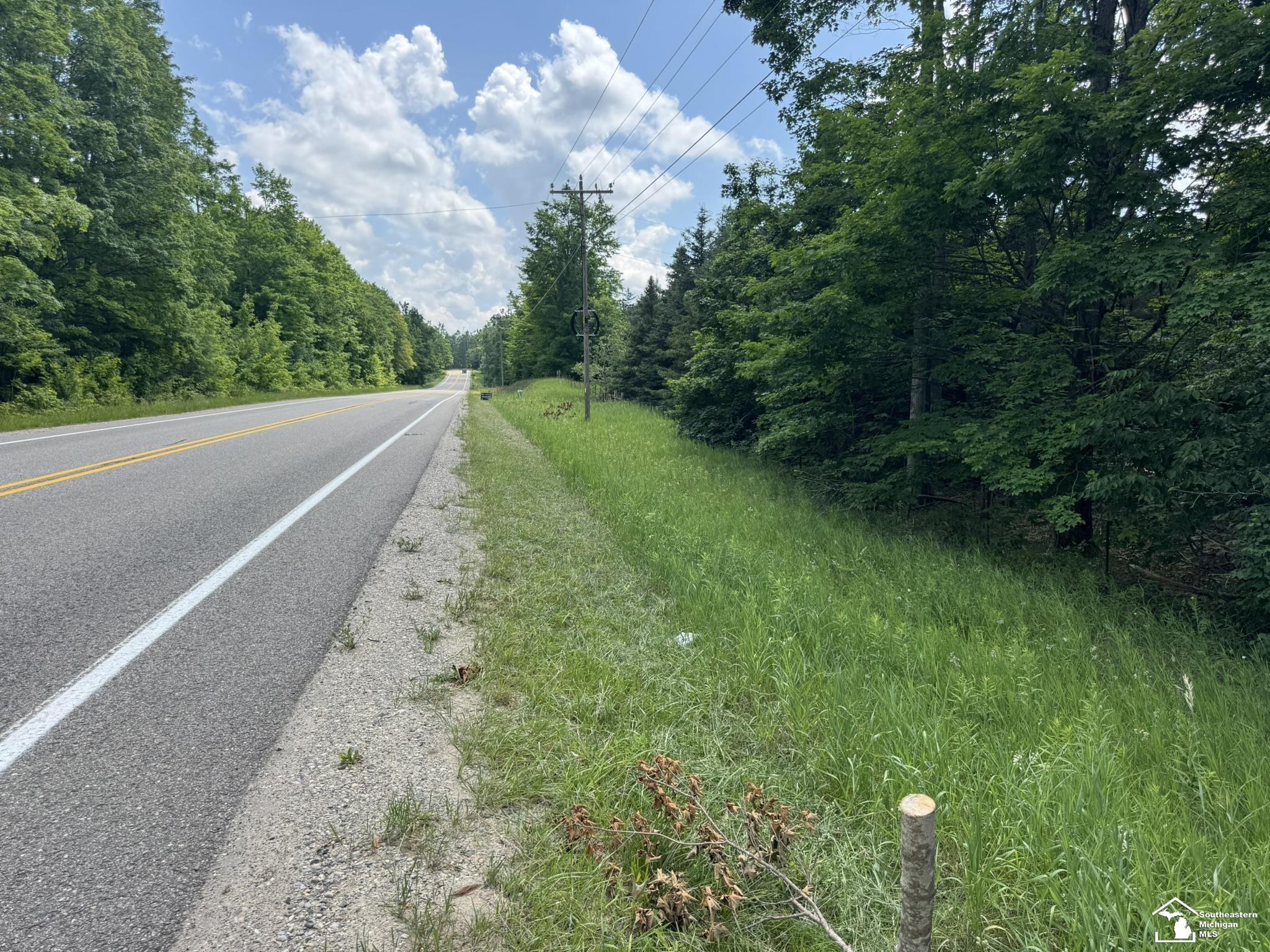 0 Hayes Tower Road Gaylord, MI 49735 - Photo 2 of 14