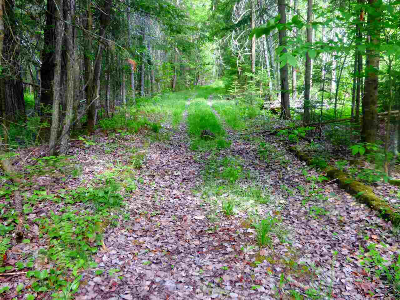 3361 East Hill Road Troy, VT 05859 - Photo 29 of 30 Gallery Image 29