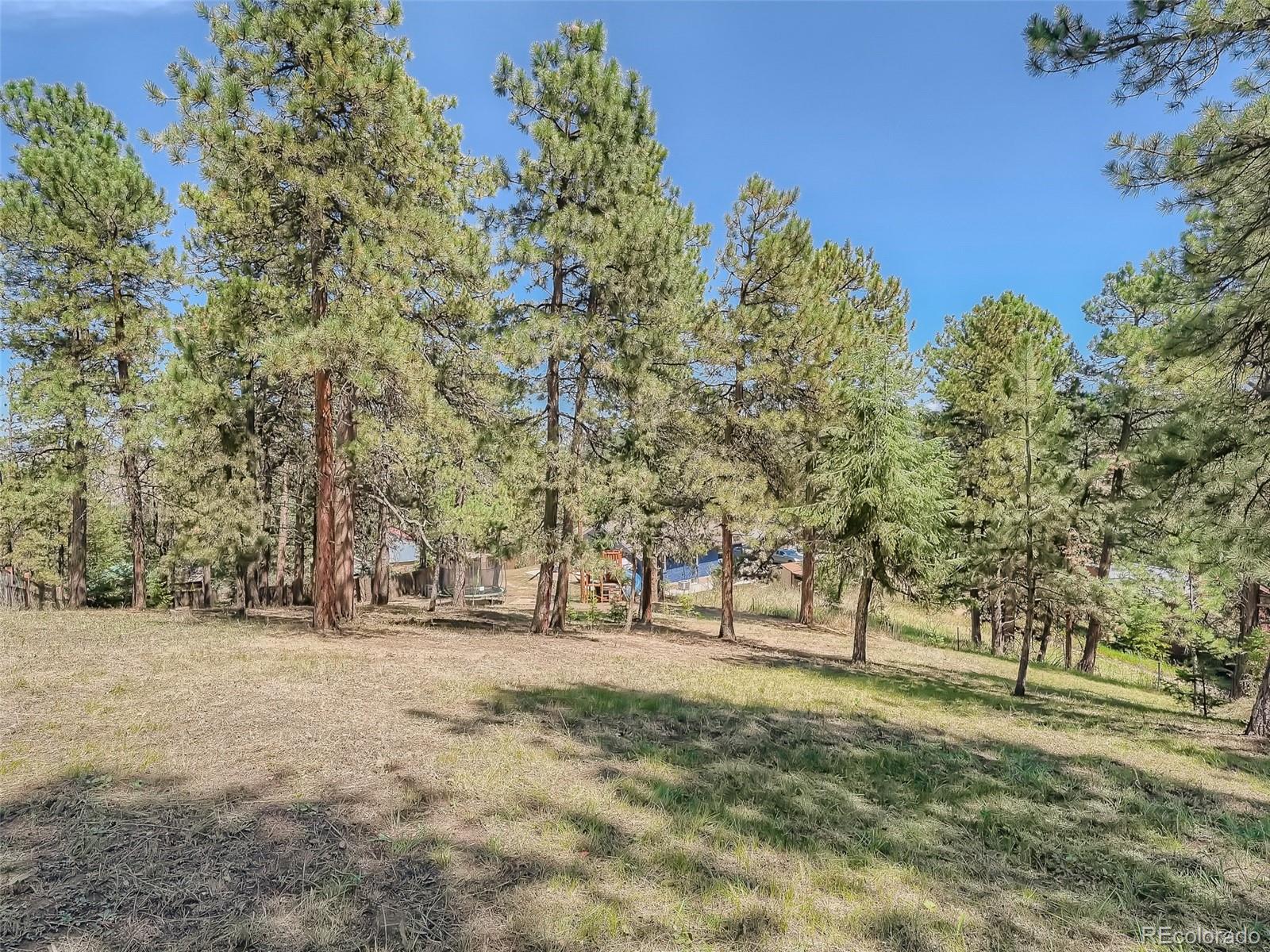46 Conifer Road Golden, CO 80401 - Photo 27 of 32