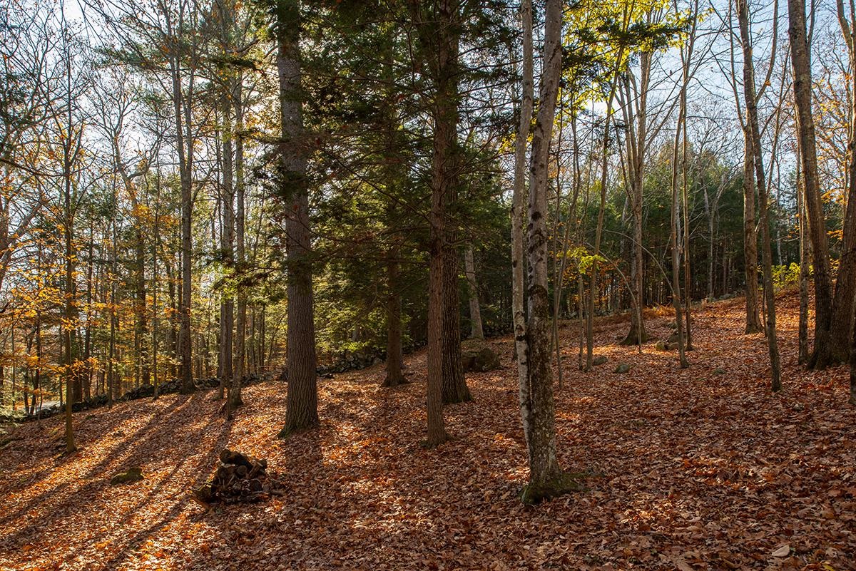 63 Roberts Road Hopkinton, NH 03229 - Photo 26 of 38 Gallery Image 26