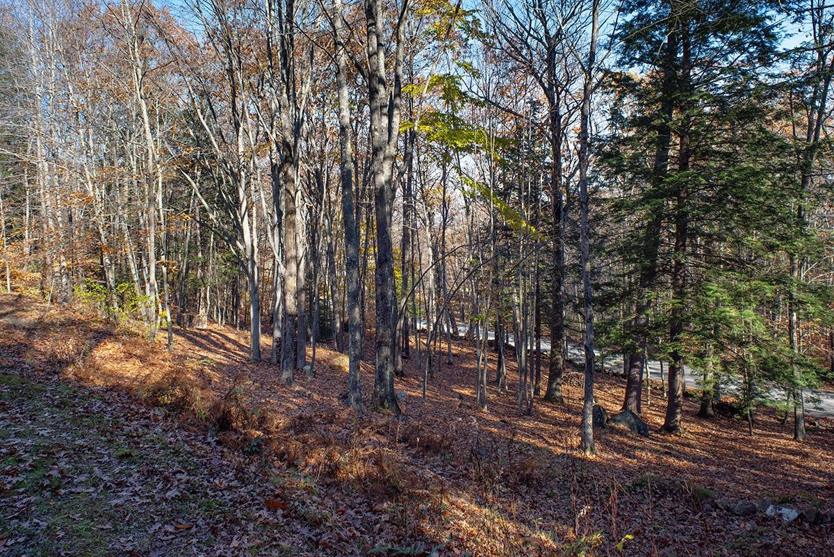 63 Roberts Road Hopkinton, NH 03229 - Photo 27 of 38 Gallery Image 27