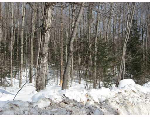 Lot 9 Rowe Hill Road Greenwood, ME 04255 - Photo 7 of 7 Land.