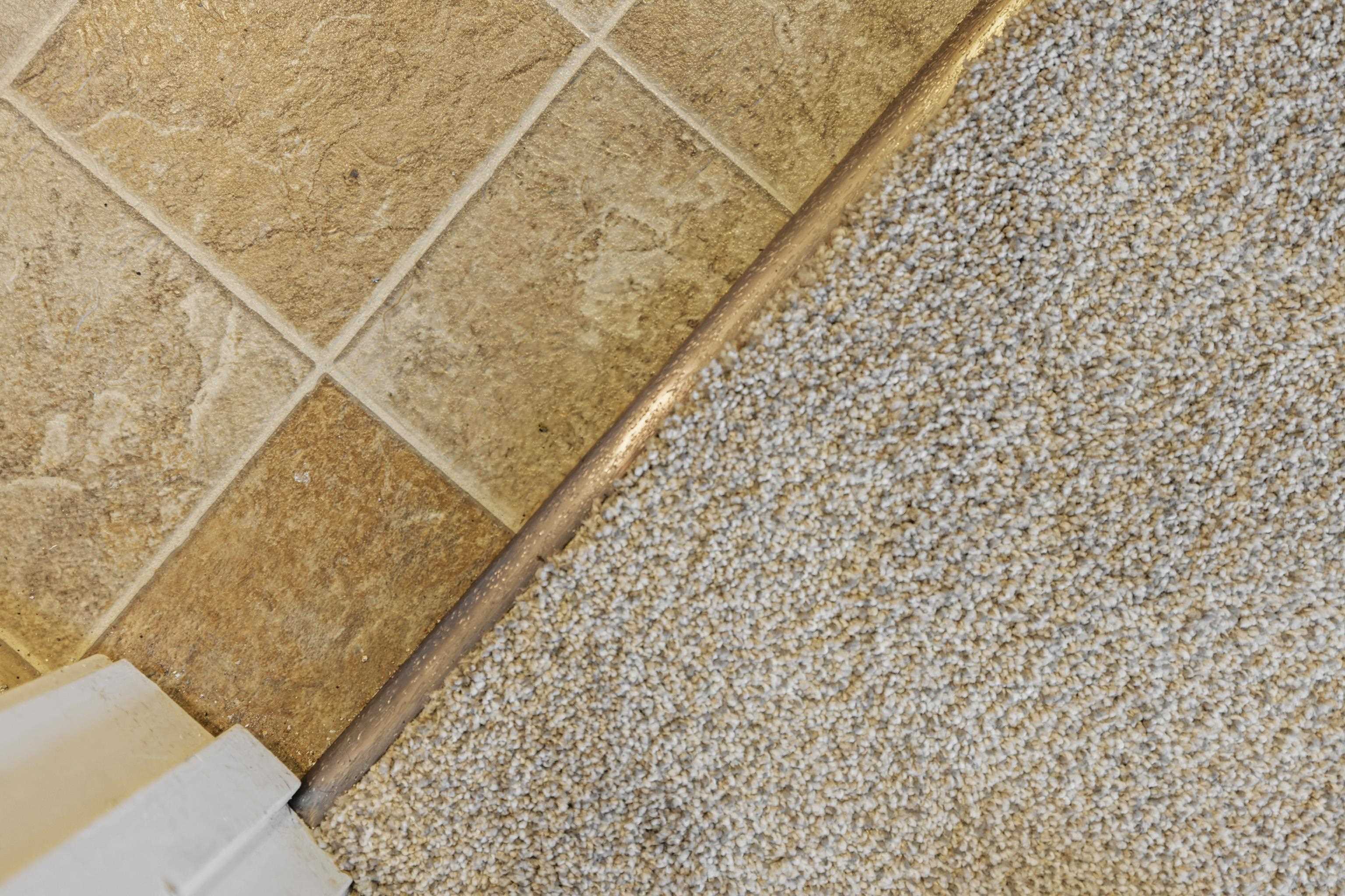 805 Carson Circle Grottoes, VA 24441 - Photo 32 of 40 a bathroom with a shower