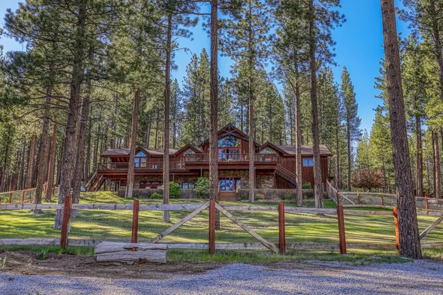 a view of a park with large trees