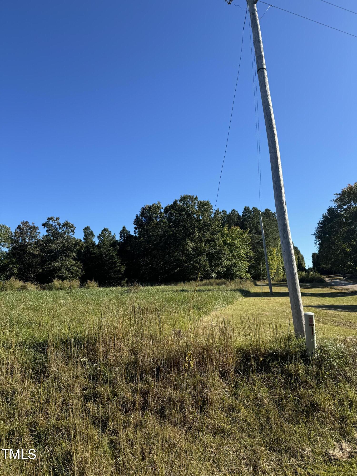 0 George Winston Road Bullock, NC 27507 - Photo 3 of 6 IMG_0837