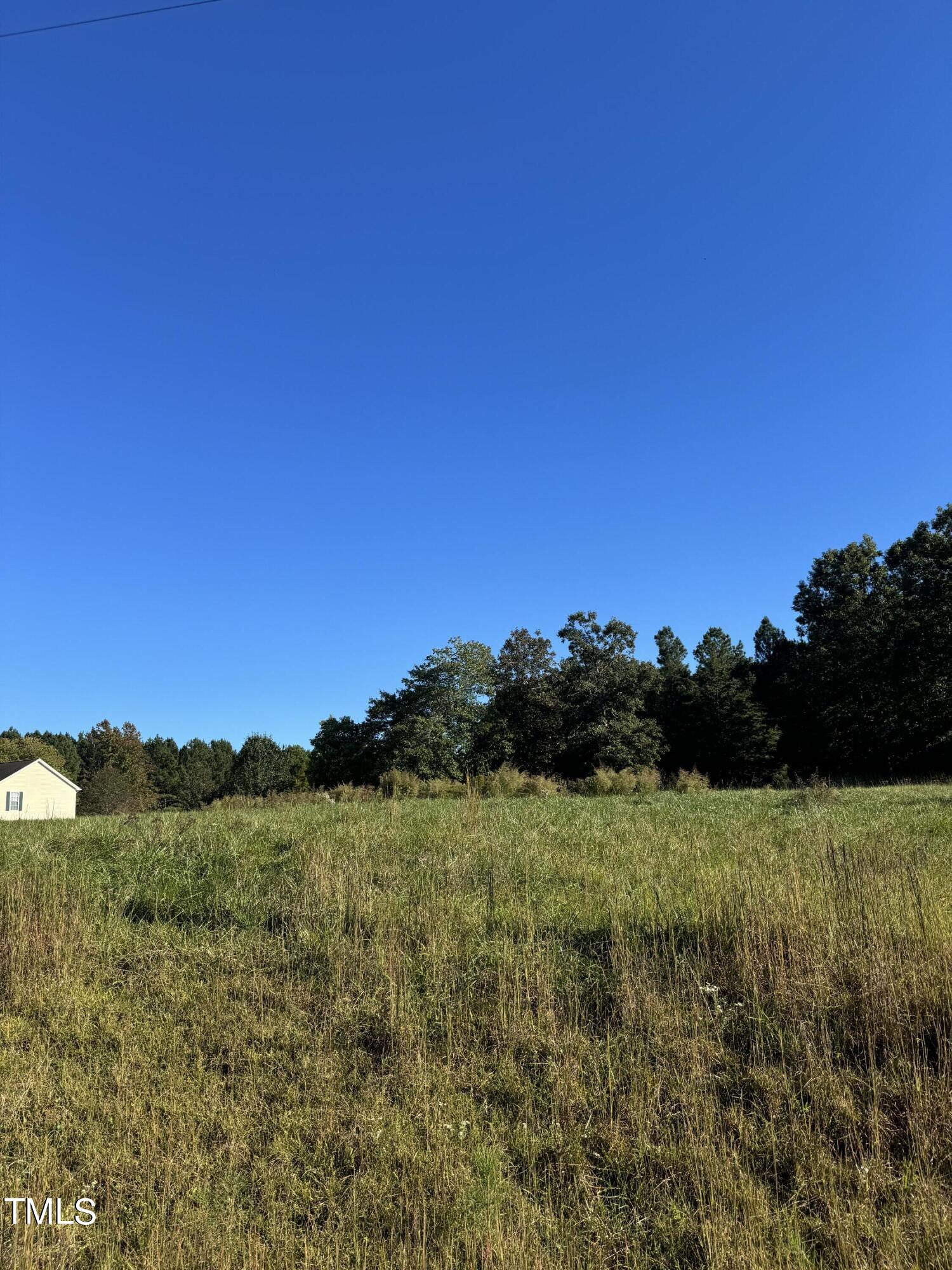 0 George Winston Road Bullock, NC 27507 - Photo 4 of 6 IMG_0836