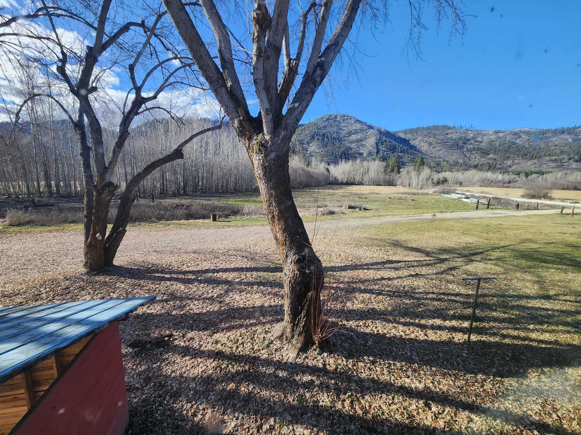 54 Bridge Creek Road Keller, WA 99140 - Photo 50 of 50