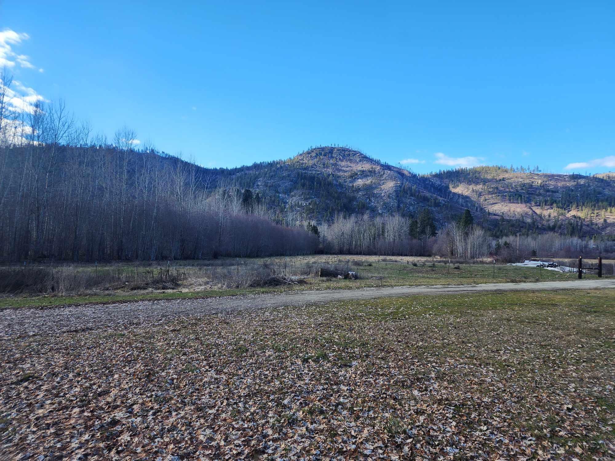 54 Bridge Creek Road Keller, WA 99140 - Photo 8 of 50