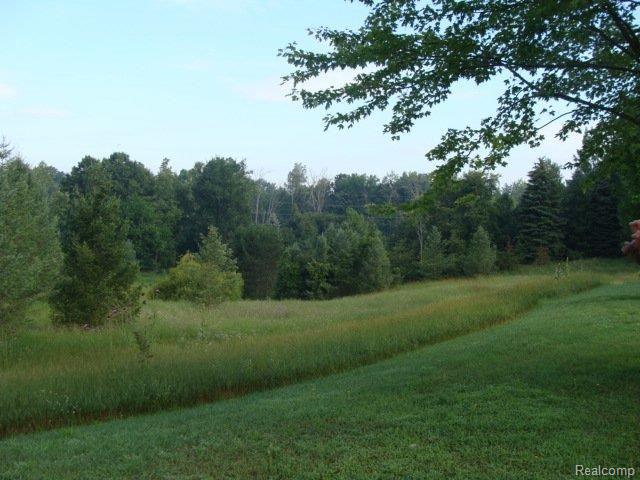 19748 Boetger Road Manchester, MI 48158 - Photo 6 of 14 view1.JPG