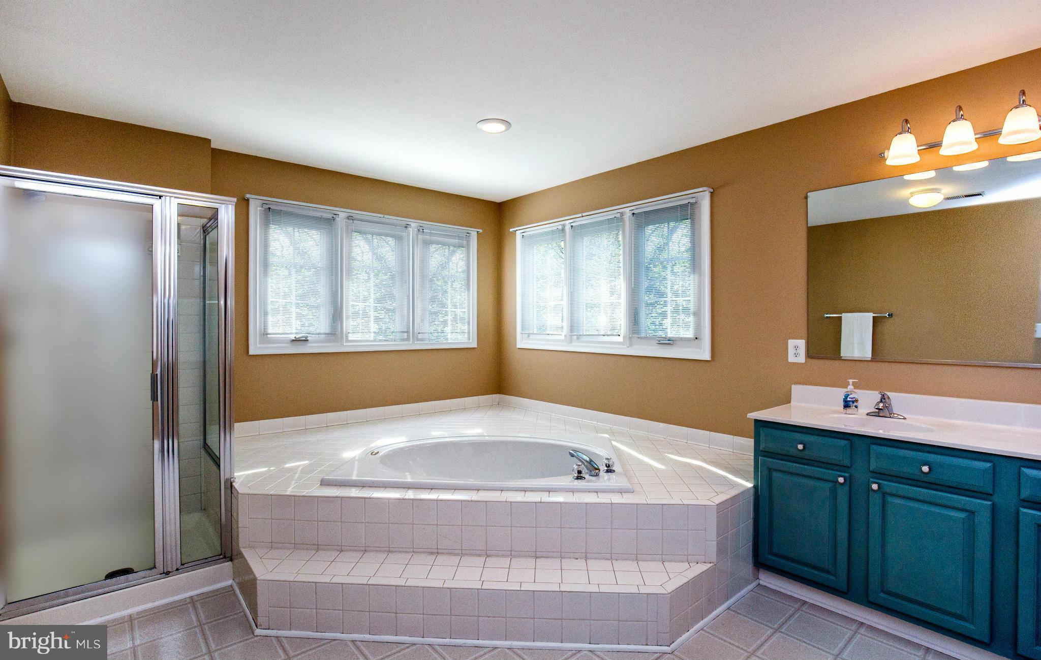 9366 River Crest Road Manassas, VA 20110 - Photo 19 of 30 Separate tub and shower!