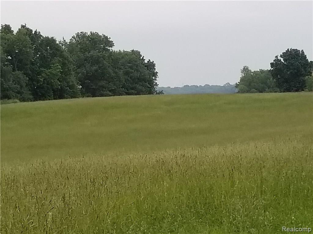 Parcel N Weller Gregory, MI 48137 - Photo 22 of 26