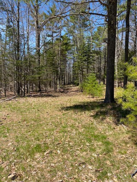 0 Mast Hill Road Bucksport, ME 04416 - Photo 8 of 11 IMG_1699