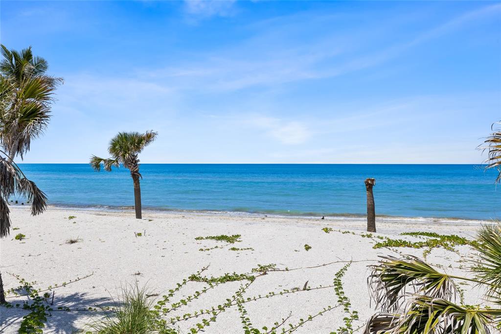 8302 Little Gasparilla Boca Grande, FL 33921 - Photo 45 of 67