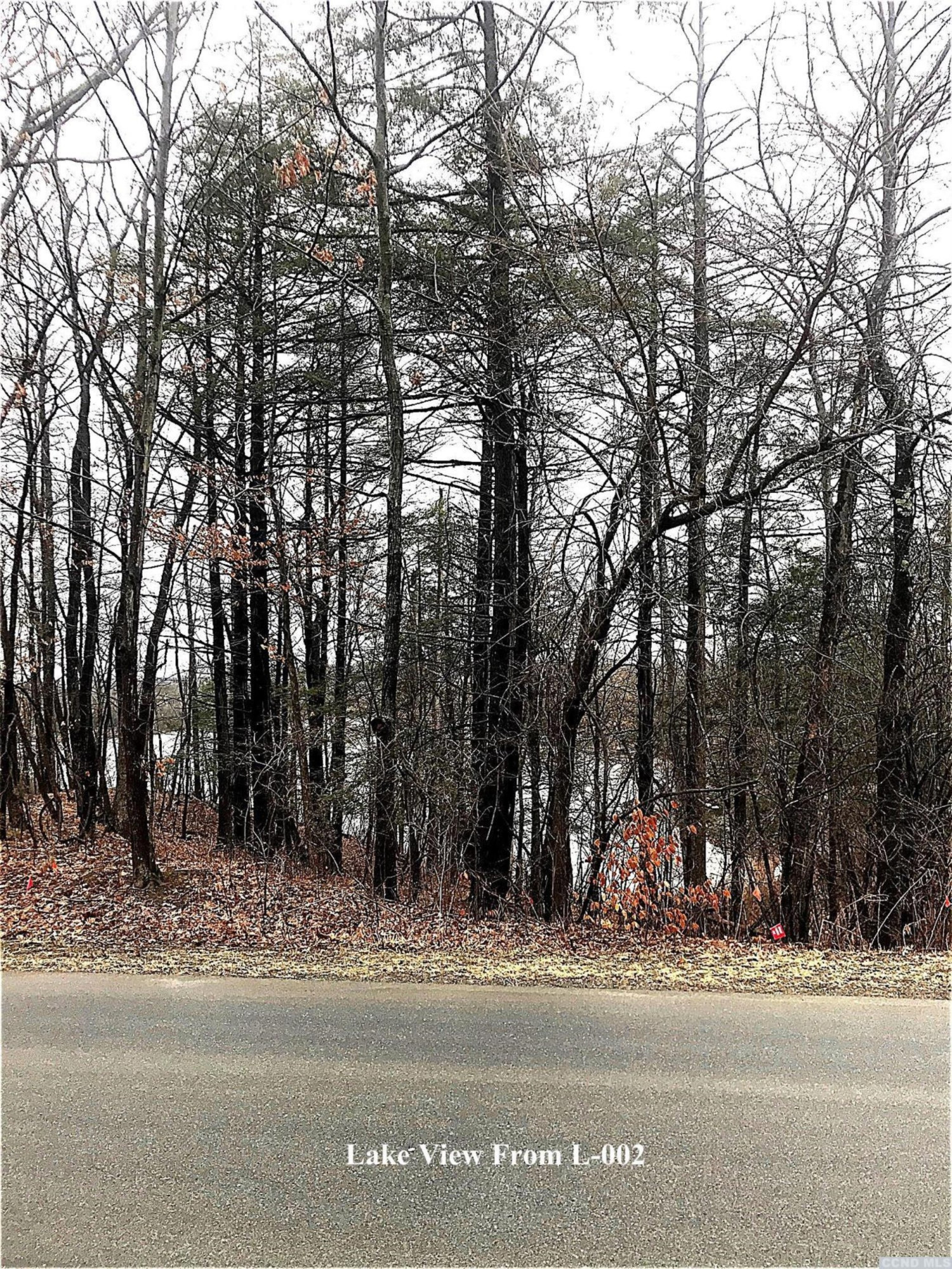 a view of a yard with a trees