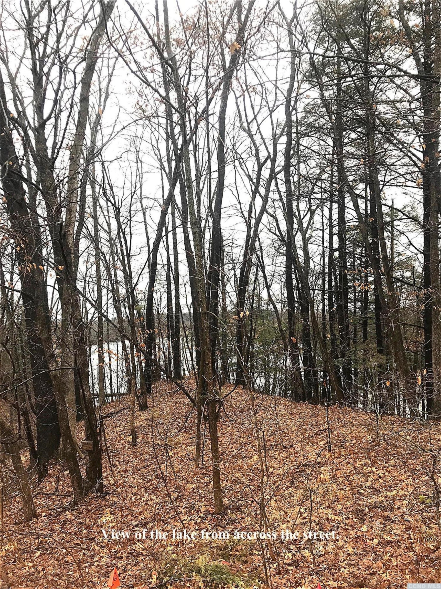 2 L Sleepy Hollow Road Athens, NY 12015 - Photo 6 of 10 a view of outdoor space