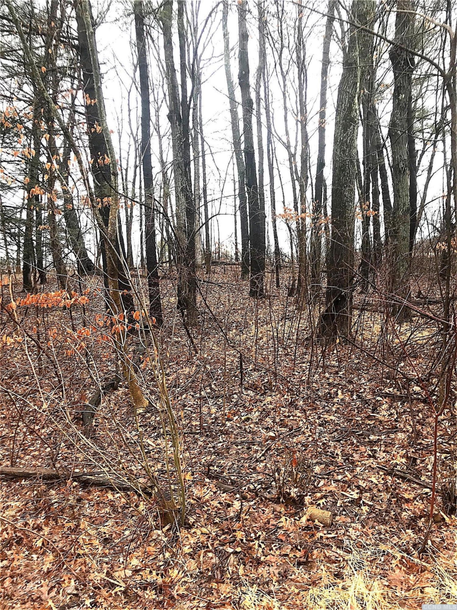 2 L Sleepy Hollow Road Athens, NY 12015 - Photo 7 of 10 a backyard of a house with lots of green space