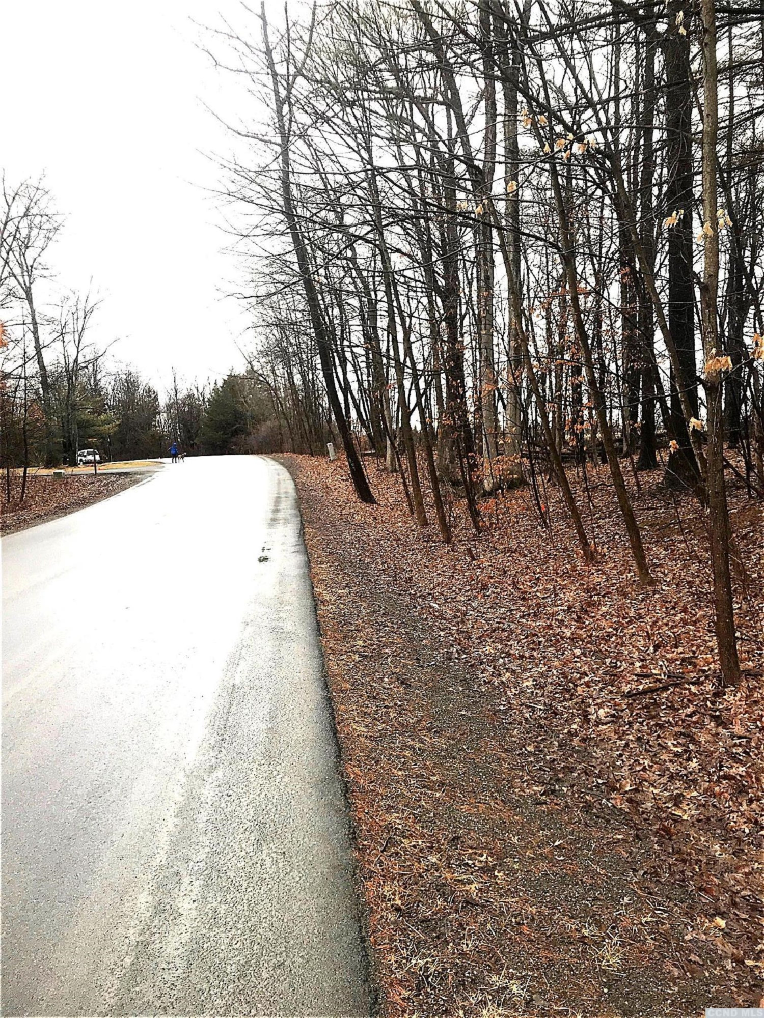 2 L Sleepy Hollow Road Athens, NY 12015 - Photo 9 of 10 a view of pathway with a yard