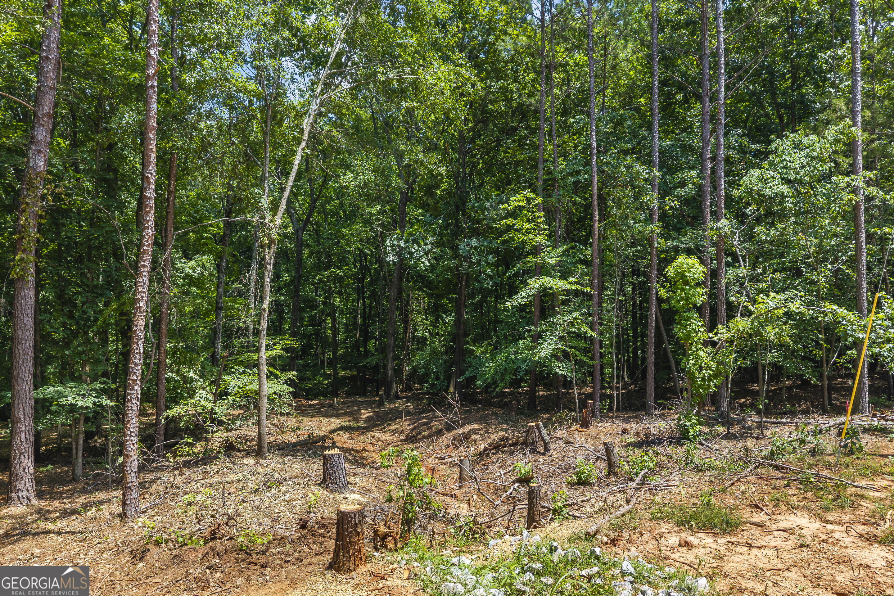 0 Tall Oaks Road Watkinsville, GA 30677 - Photo 9 of 12 a view of backyard with green space