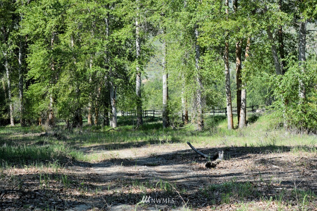 18 Beaver Pond Road Twisp, WA 98856 - Photo 22 of 25