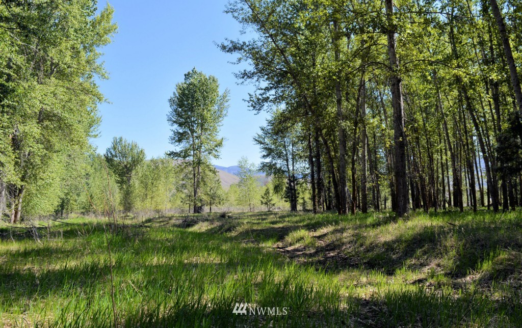 18 Beaver Pond Road Twisp, WA 98856 - Photo 7 of 25