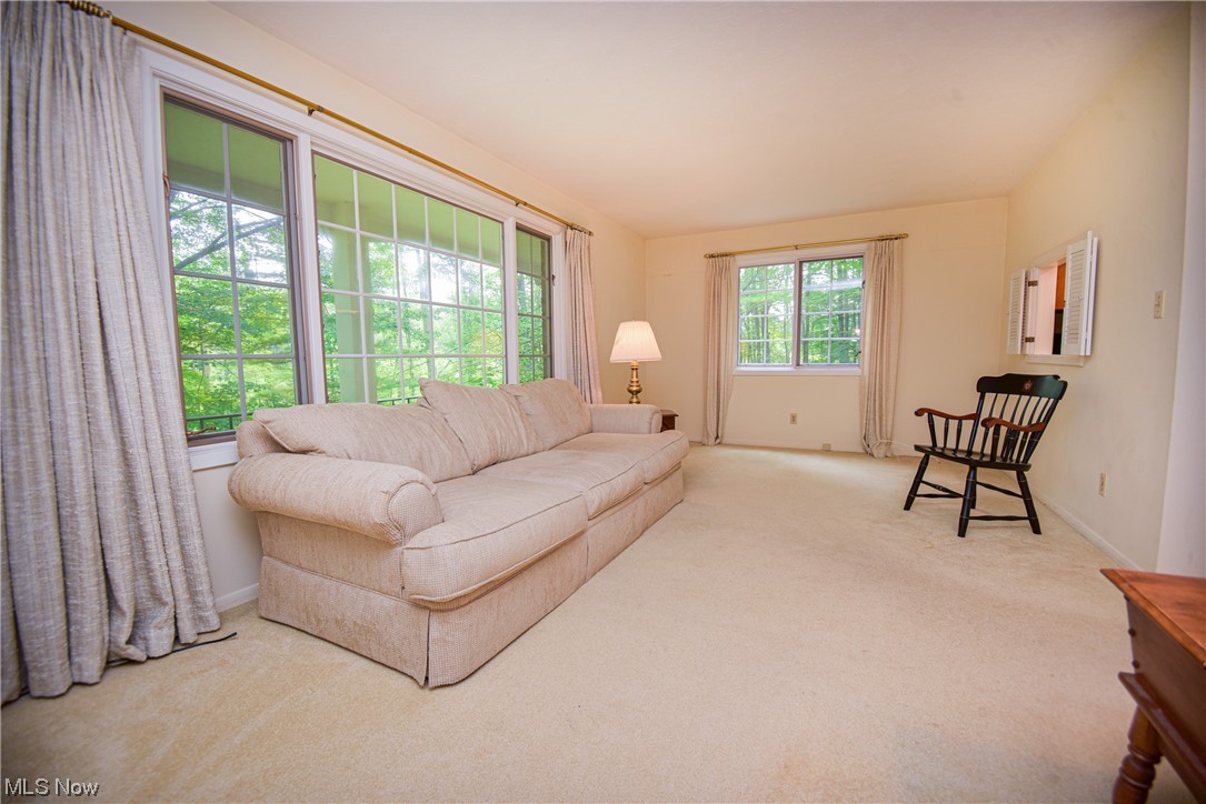 7551 West Pleasant Valley Road Cleveland, OH 44129 - Photo 8 of 35 Scenic views from the living room.