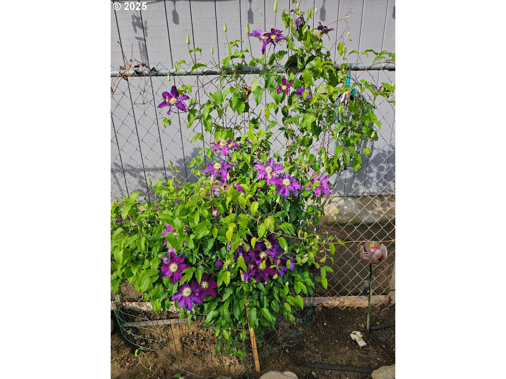 460 Meadow Lane Creswell, OR 97426 - Photo 37 of 42