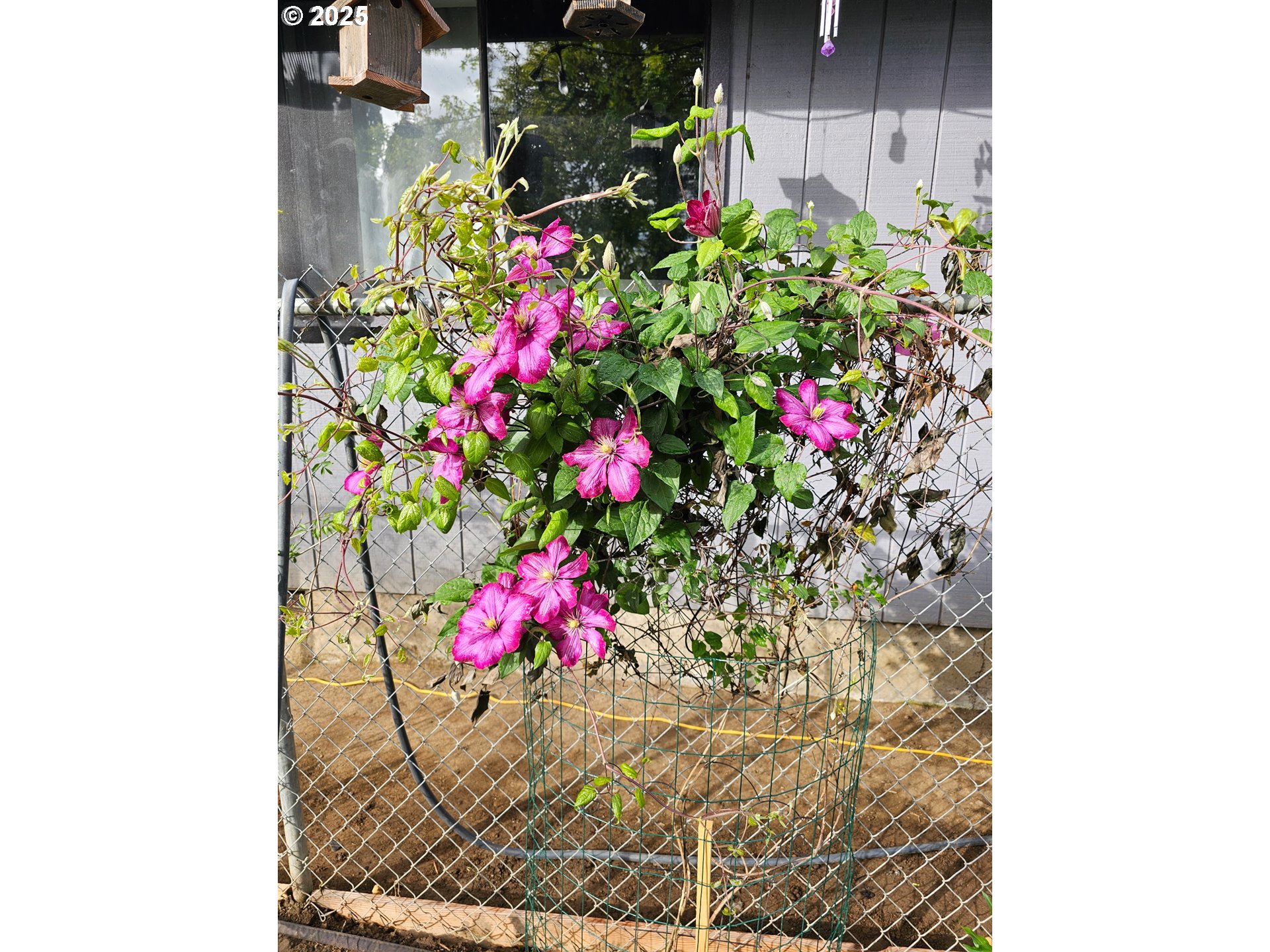 460 Meadow Lane Creswell, OR 97426 - Photo 39 of 42