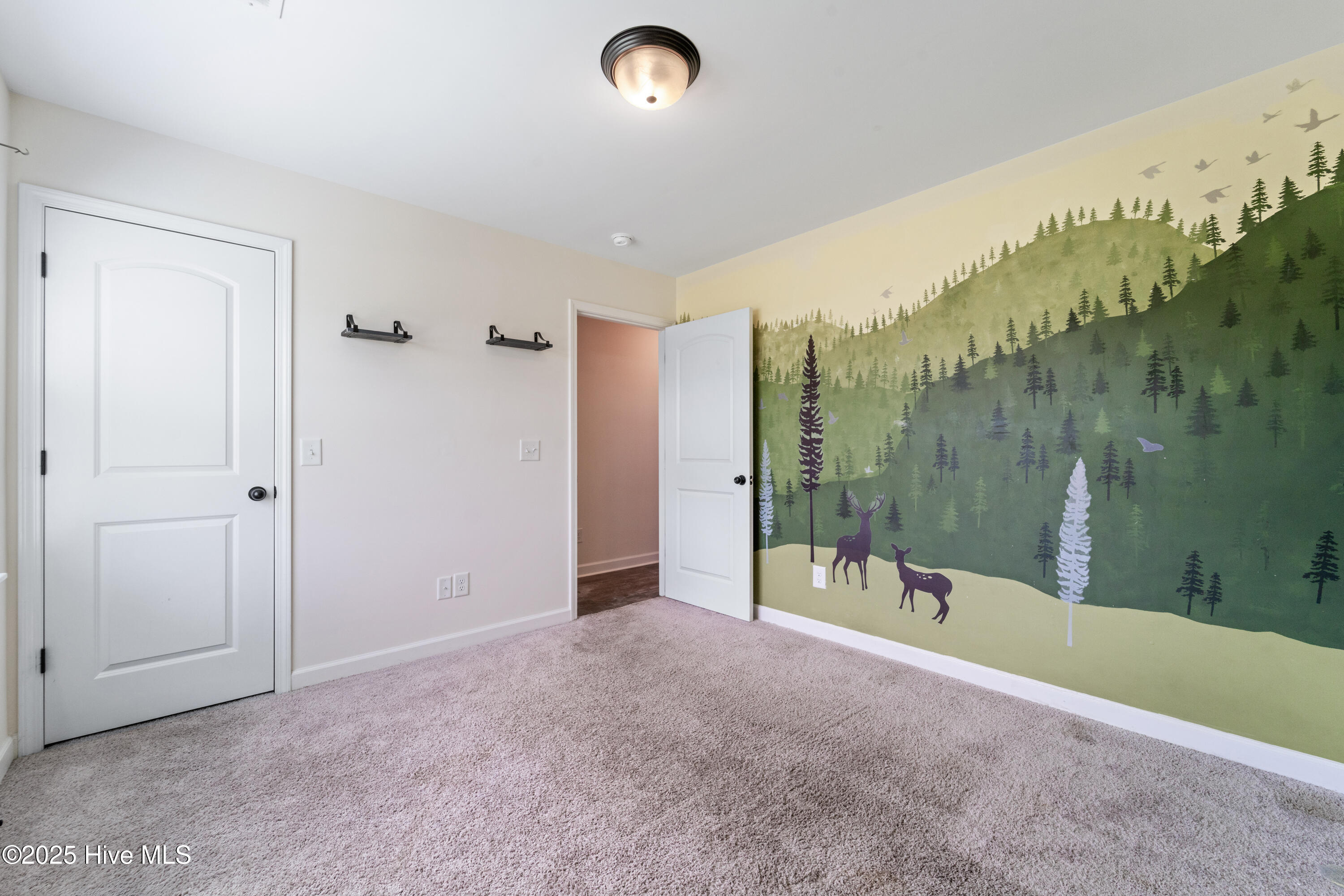 600 Osprey Landing Drive Holly Ridge, NC 28445 - Photo 21 of 28 DSC08176