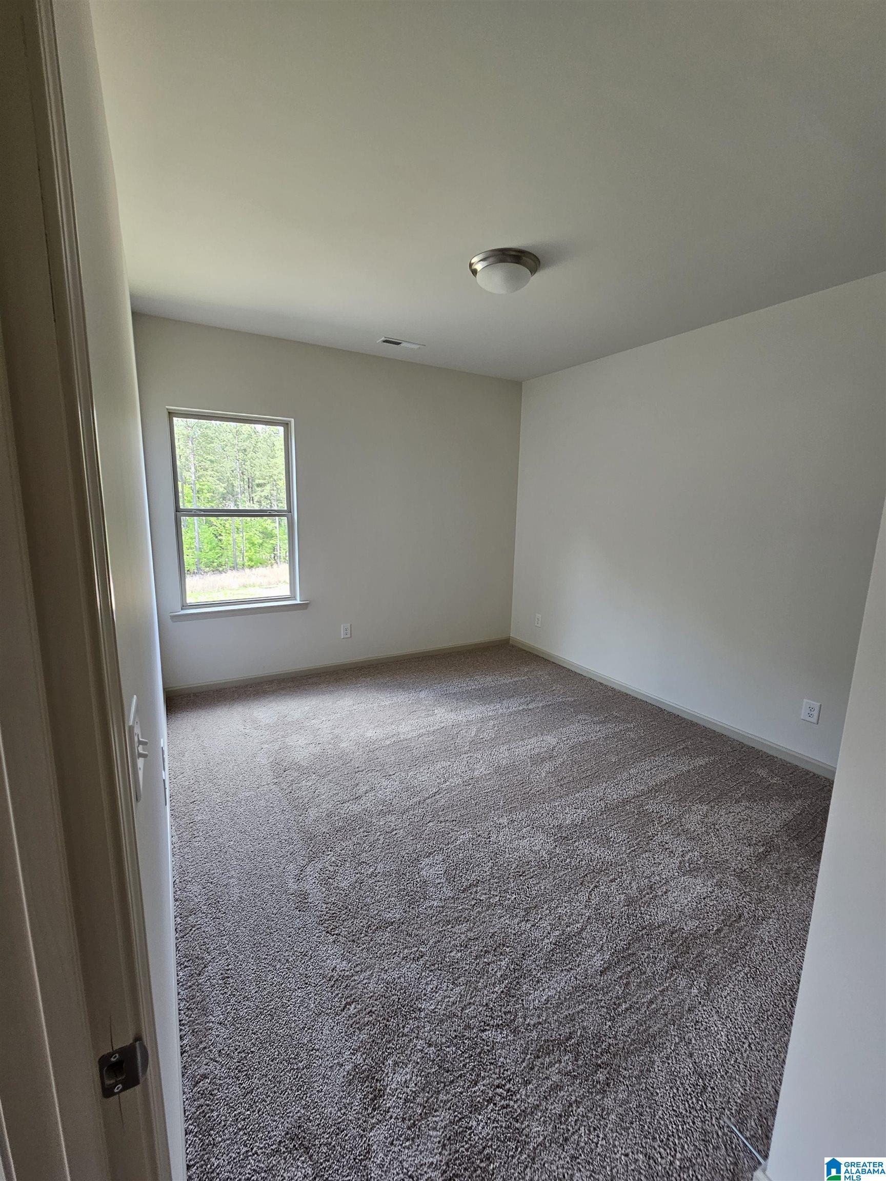 2187 Springfield Drive Chelsea, AL 35043 - Photo 16 of 26