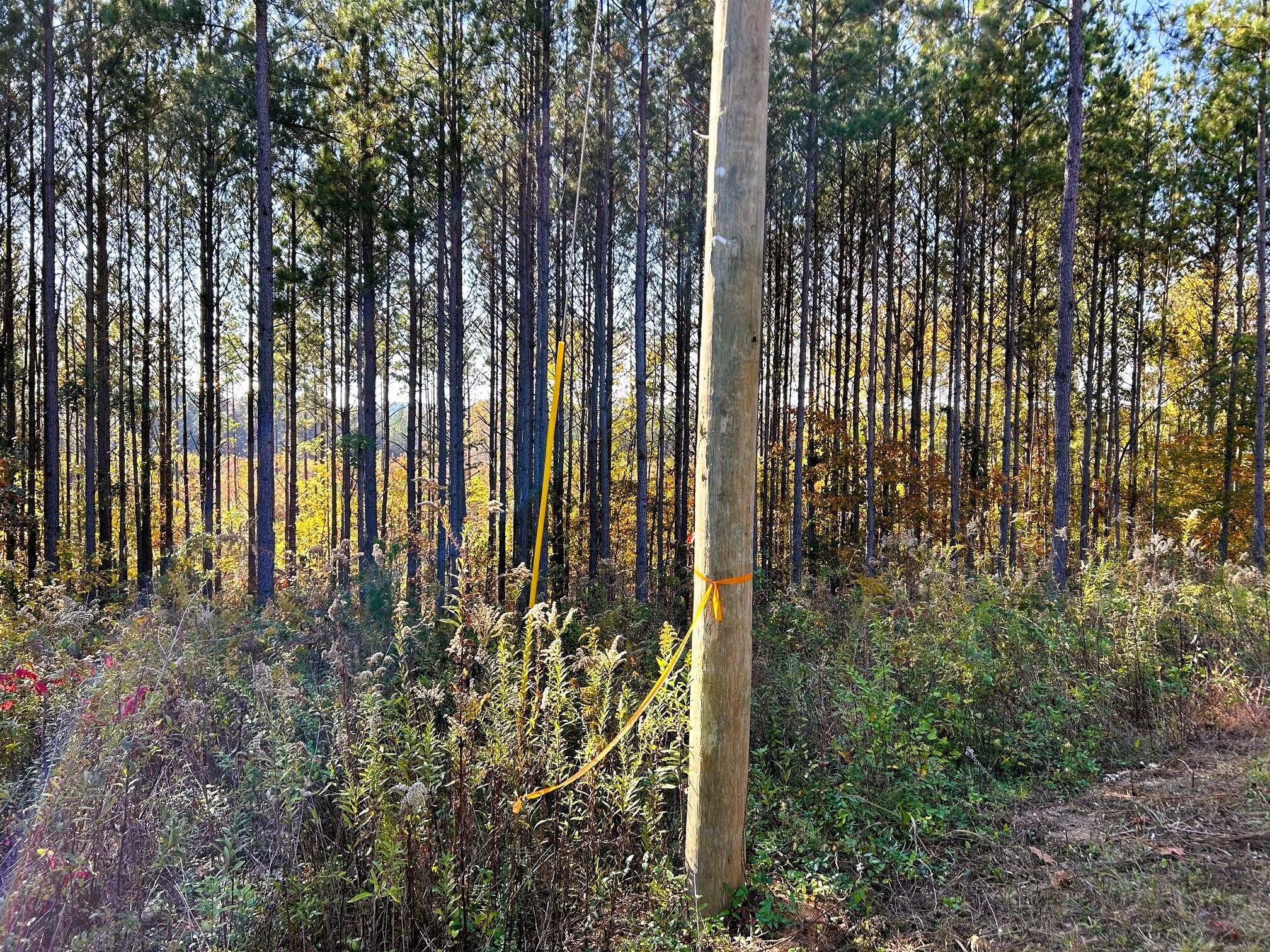 17 Hughes Lake Road Southeast Cleveland, TN 37323 - Photo 6 of 25