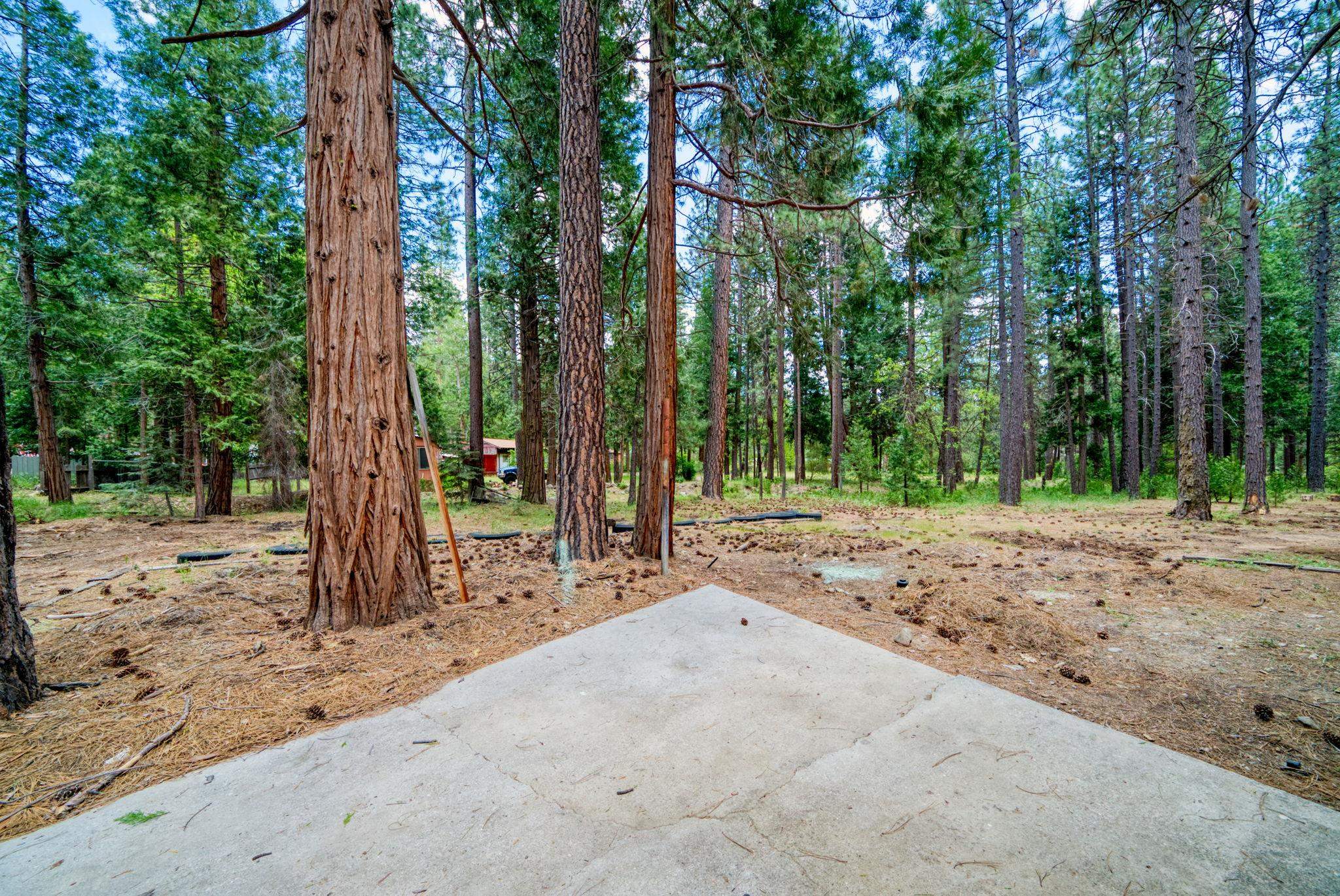 58374 Gill Ranch Road Cromberg, CA 96103 - Photo 18 of 44 a dirt road with trees in the background