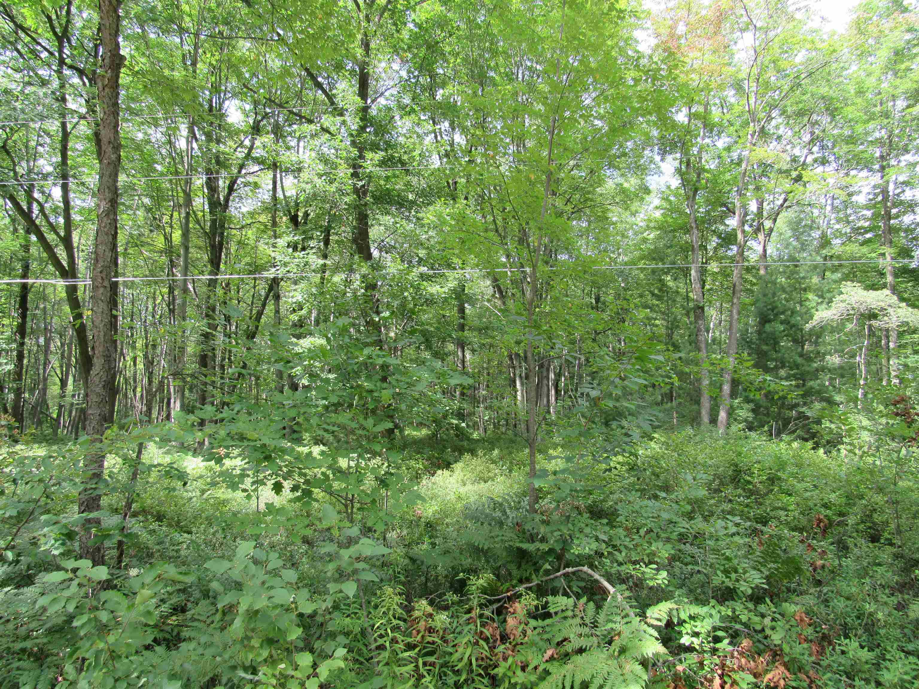 0 Duby Road, Unit PARCEL C2 Tawas City, MI 48763 - Photo 4 of 4