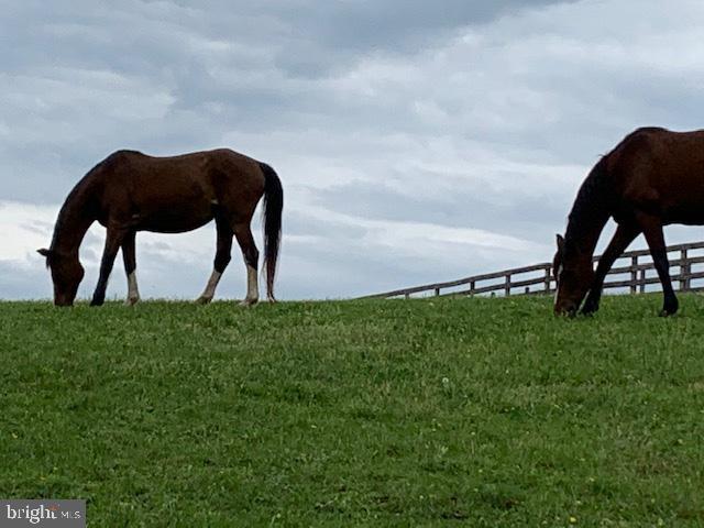 776 W Road West Grove, PA 19390 - Photo 23 of 26 a view of yard with a table and a chairs