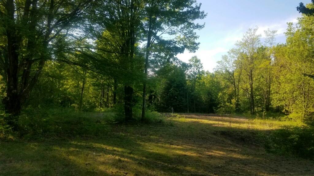 5601 North 41 1/2 Road Manton, MI 49663 - Photo 8 of 9 1875471-7.JPG