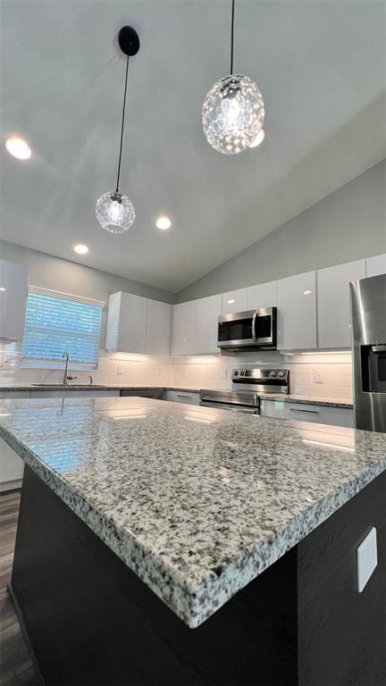 Tbd Tbd Bay Lane Loop Ocklawaha, FL 32179 - Photo 6 of 14