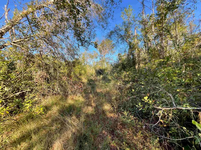 $188,400 | 129 Northwest Jasper, Jasper, FL 32052