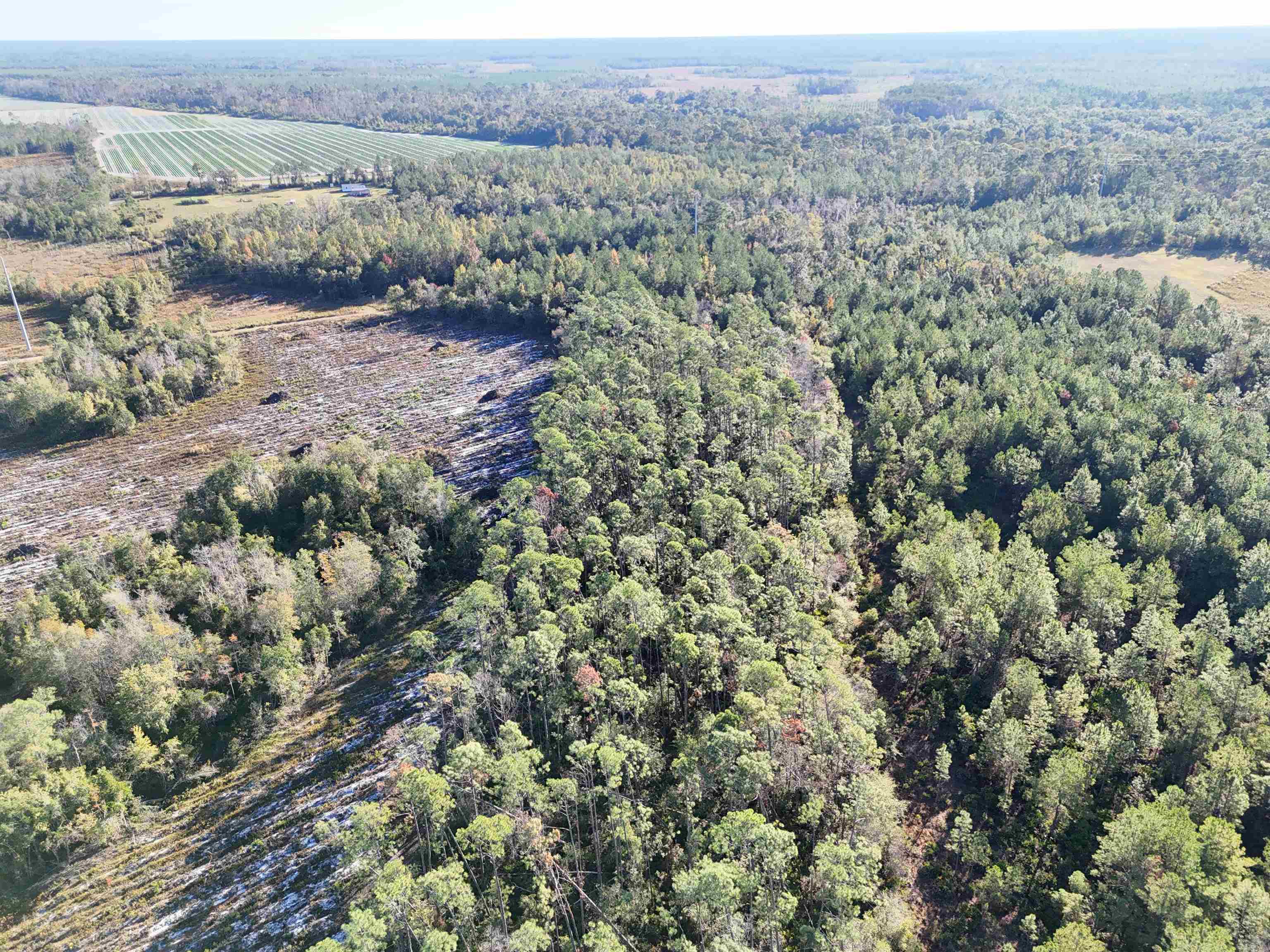 129 Northwest Jasper Jasper, FL 32052 - Photo 11 of 70