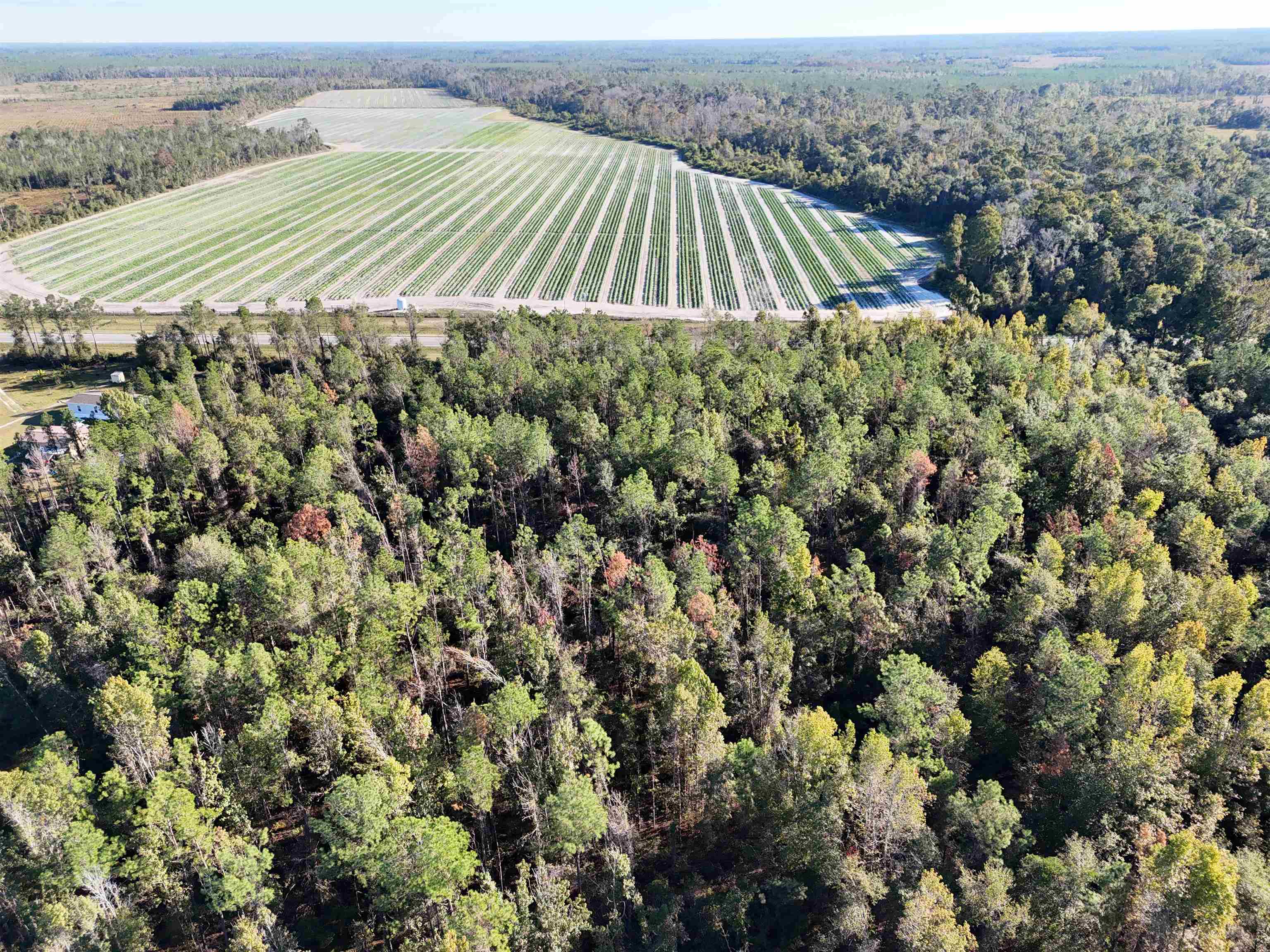 129 Northwest Jasper Jasper, FL 32052 - Photo 12 of 70