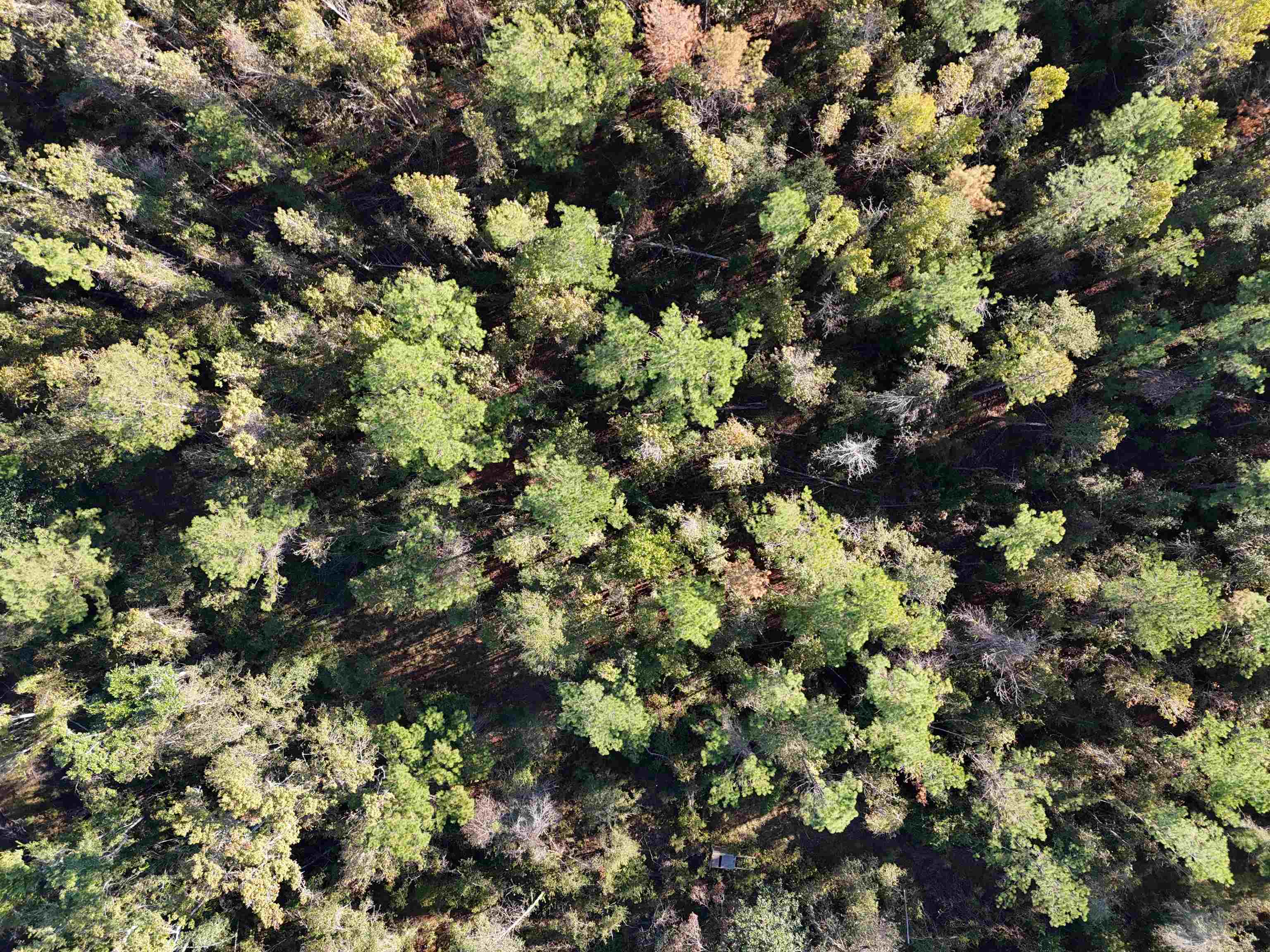 129 Northwest Jasper Jasper, FL 32052 - Photo 13 of 70