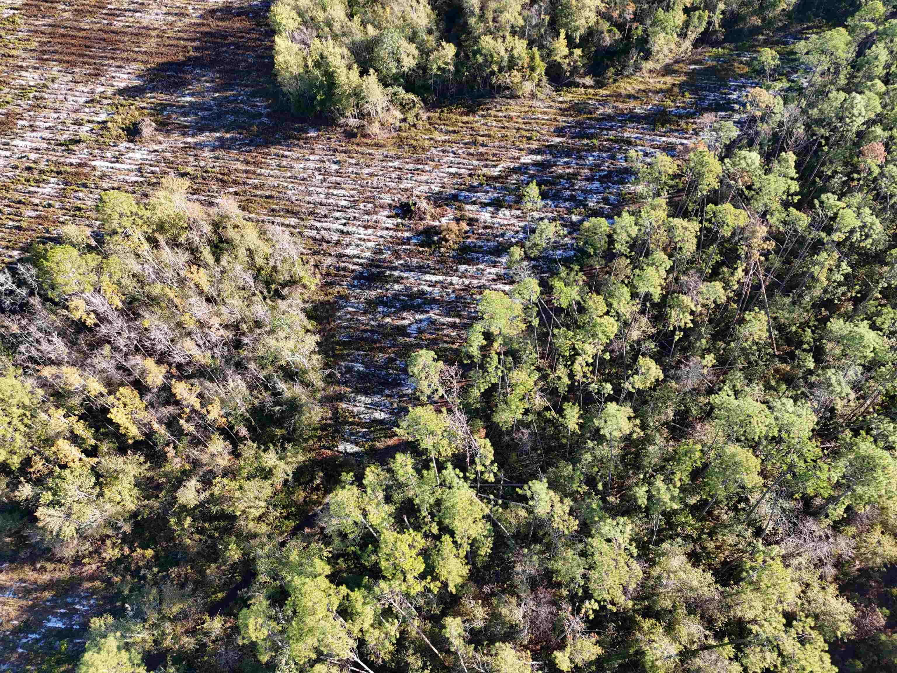 129 Northwest Jasper Jasper, FL 32052 - Photo 14 of 70