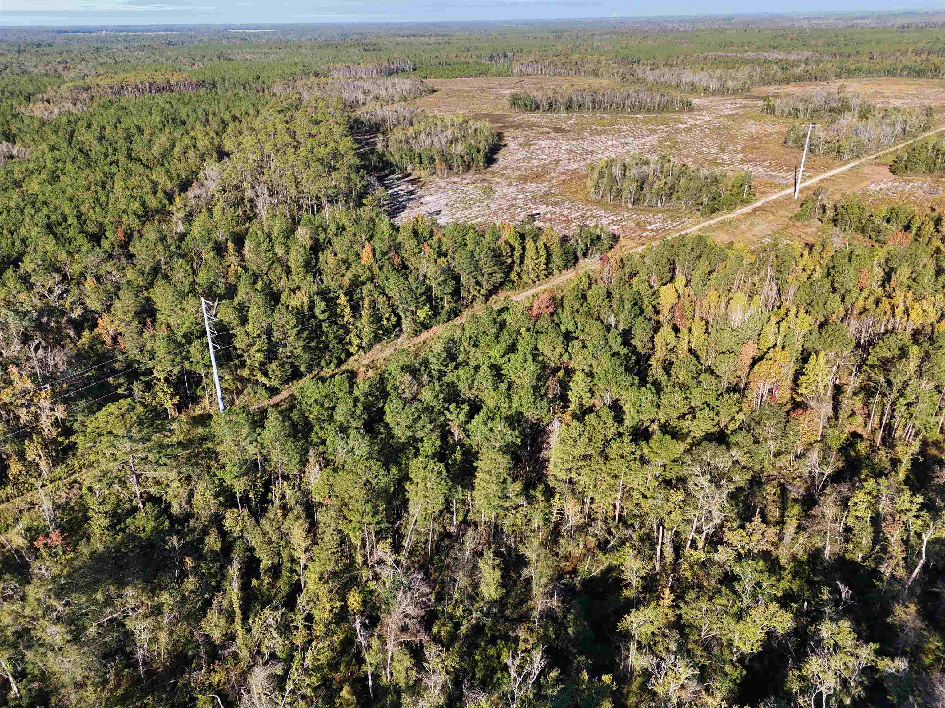 129 Northwest Jasper Jasper, FL 32052 - Photo 15 of 70