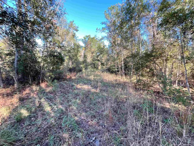 $188,400 | 129 Northwest Jasper, Jasper, FL 32052