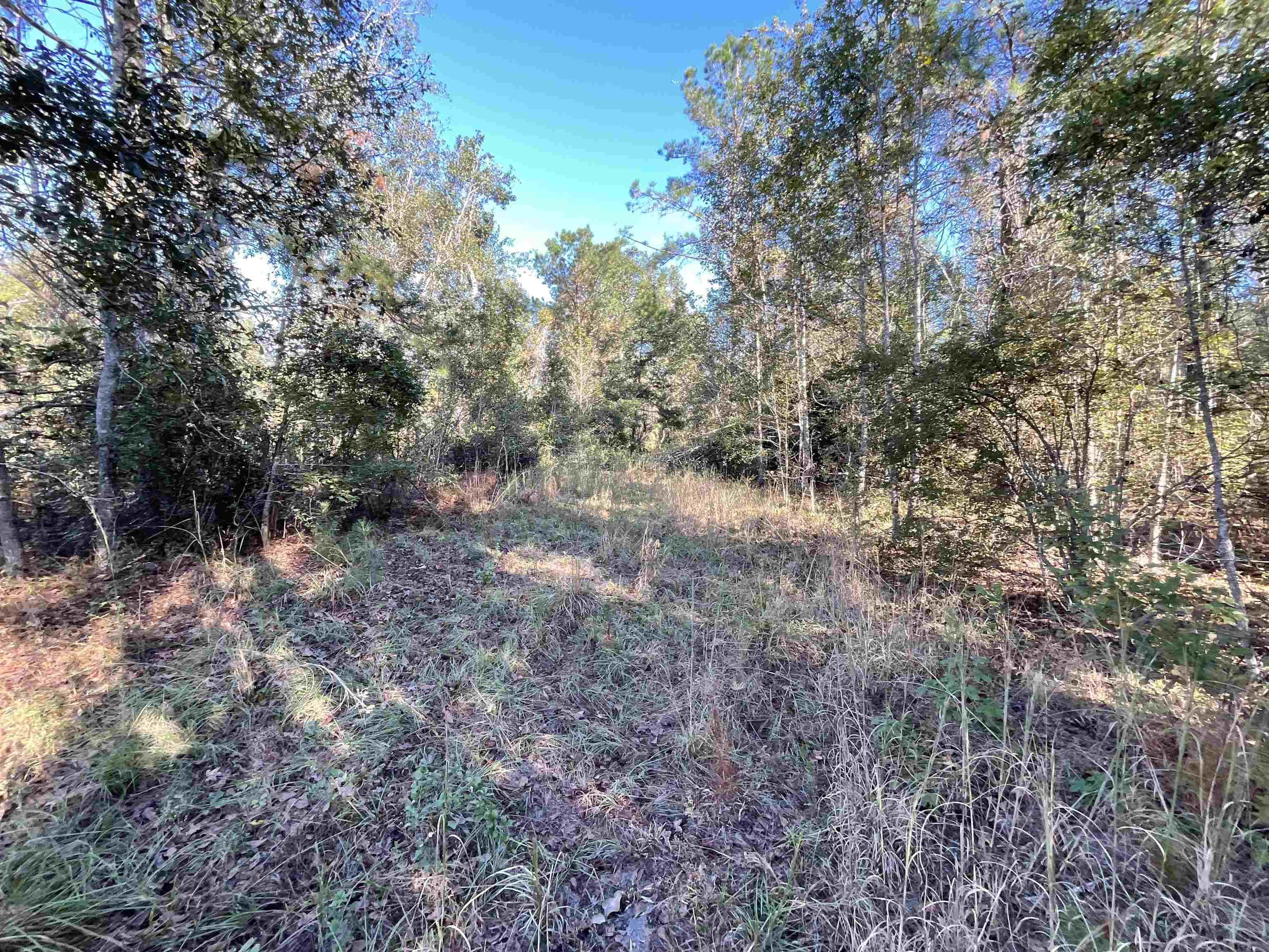 129 Northwest Jasper Jasper, FL 32052 - Photo 16 of 70