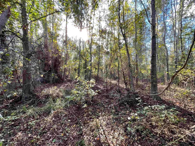 $188,400 | 129 Northwest Jasper, Jasper, FL 32052