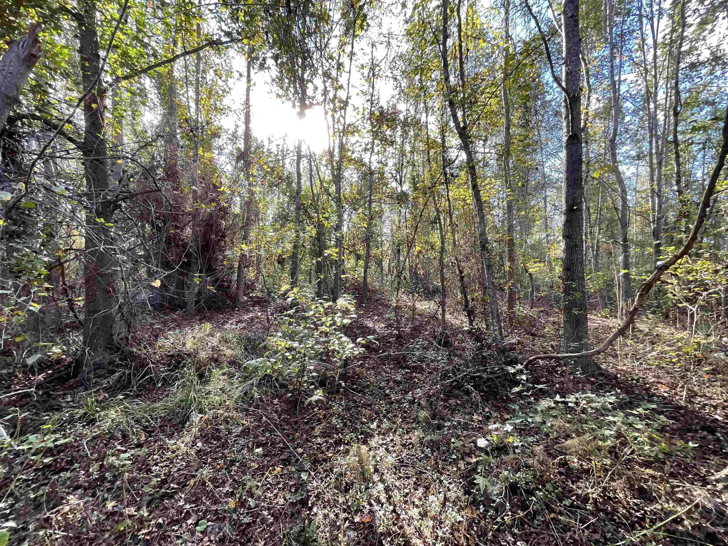 129 Northwest Jasper Jasper, FL 32052 - Photo 17 of 70