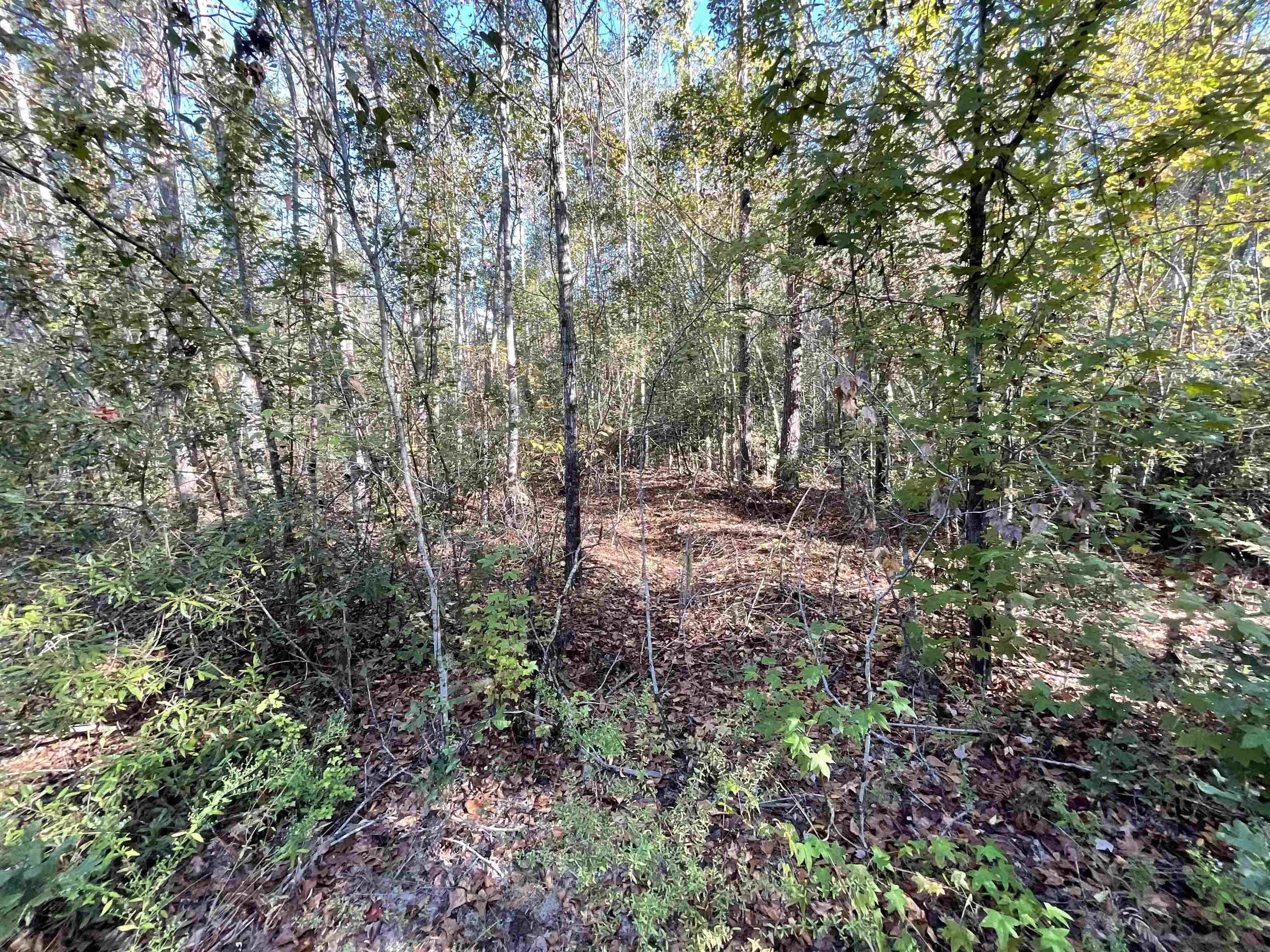 129 Northwest Jasper Jasper, FL 32052 - Photo 18 of 70