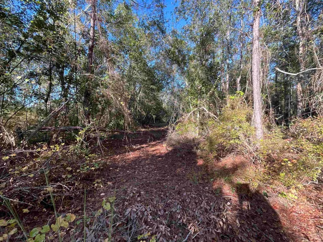 $188,400 | 129 Northwest Jasper, Jasper, FL 32052