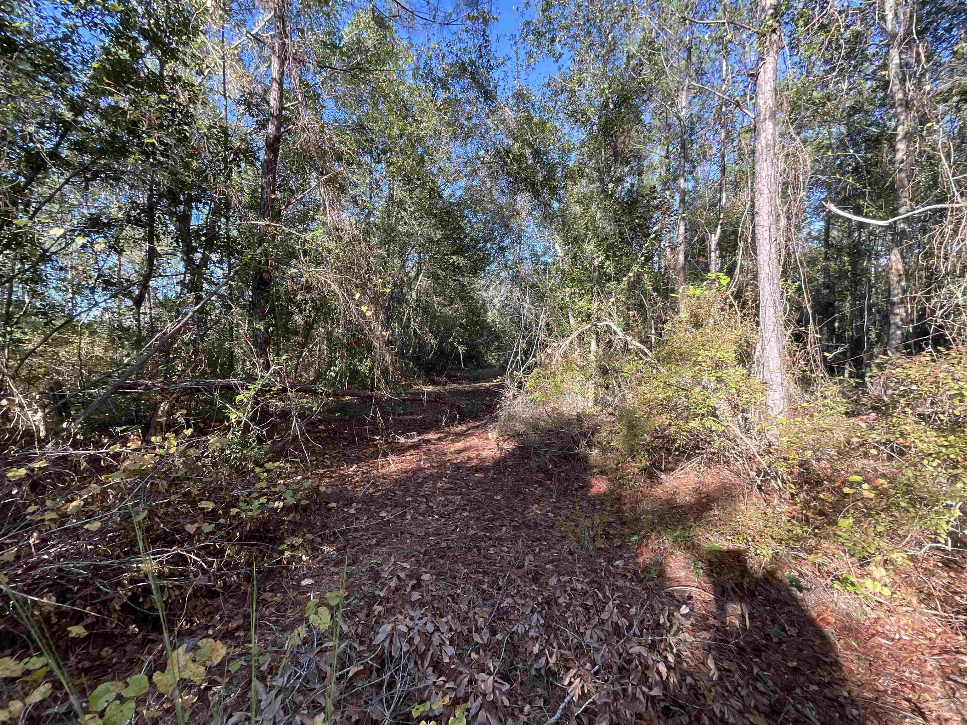 129 Northwest Jasper Jasper, FL 32052 - Photo 19 of 70