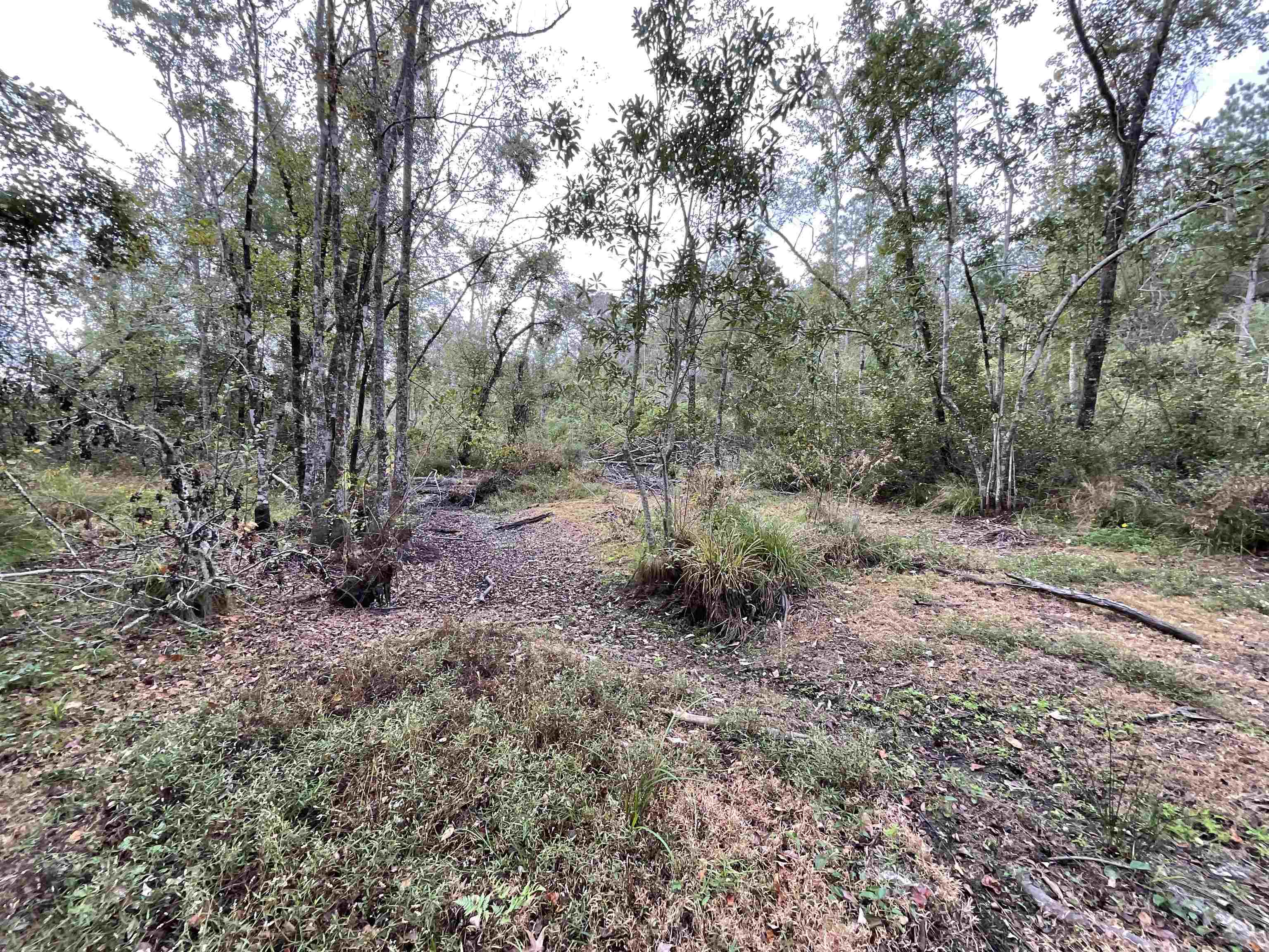 129 Northwest Jasper Jasper, FL 32052 - Photo 20 of 70